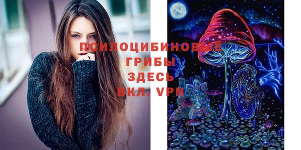 молекула духа Алзамай