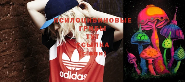 тгк Аркадак