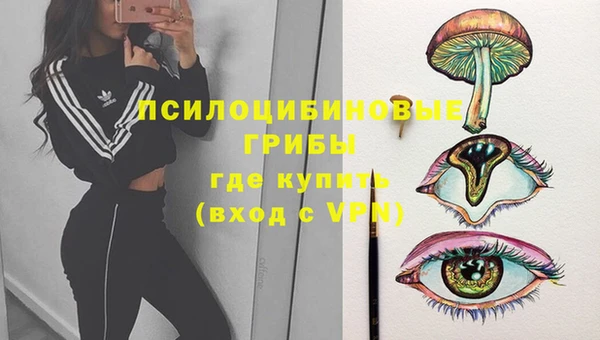 винт Арсеньев