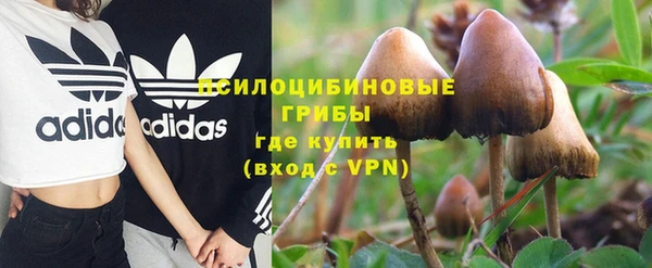 тгк Аркадак