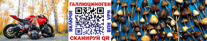 Псилоцибиновые грибы Psilocybine cubensis  закладки  ссылка на мегу онион  Дедовск 